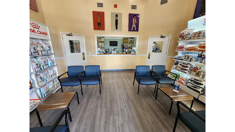 Lobby at VCA Lockwood Ridge Animal Hospital