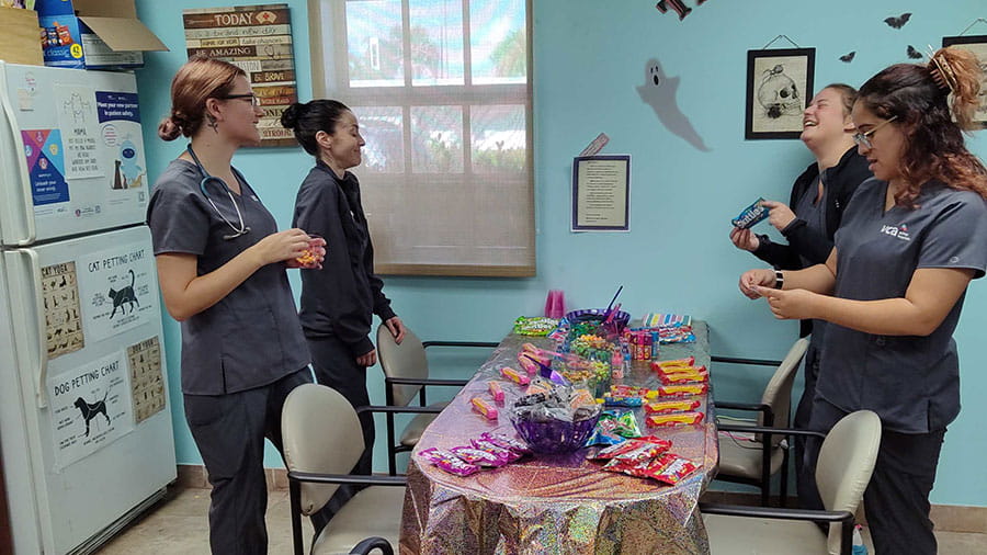 VCA Miracle Mile Animal Hospital Associates at a staff Halloween party