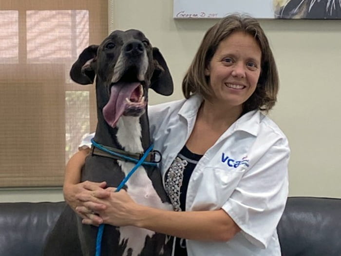 Dr. Stacey Bradley Staff Photo