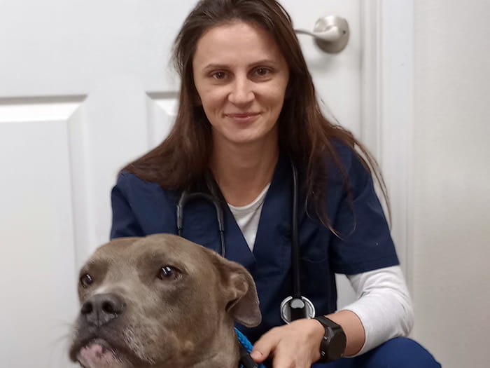 Dr. Kinga Szakacs Staff Photo