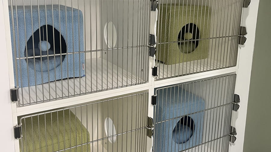 VCA Sanibel Boarding