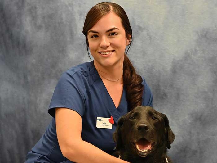 Taylor Lawson Staff Photo