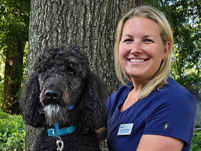 Dr. Ashley Wheeler Staff Photo