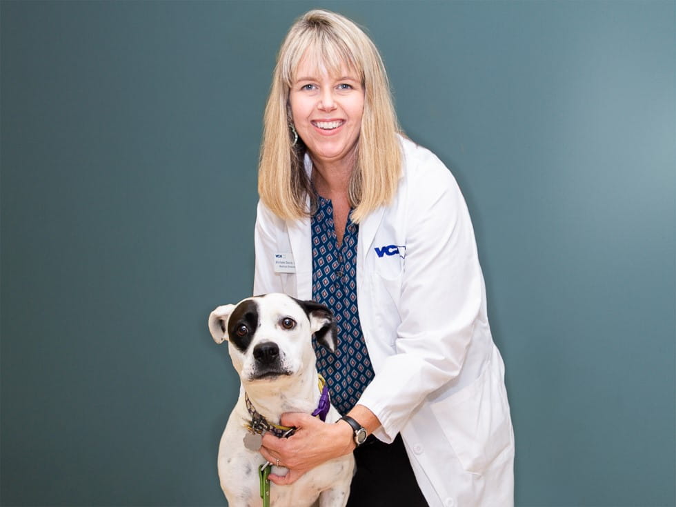 700x525 pets are people too atlanta MichaleDavis