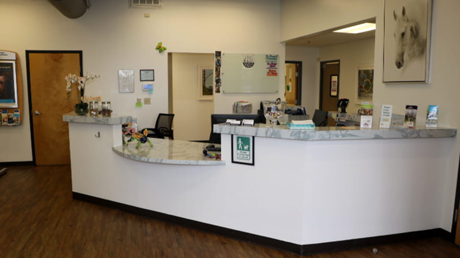 VCA North Atlanta lobby