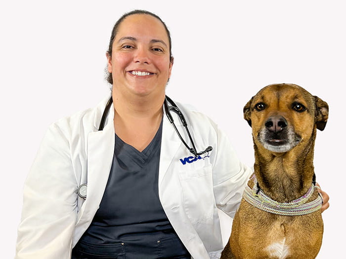 Dr. Alize Rodriguez Staff Photo