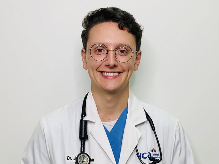 Dr. Jason Kadar Staff Photo