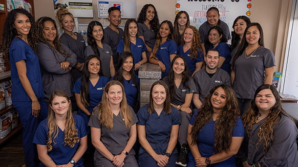 VCA Kapolei Animal Hospital Team Picture