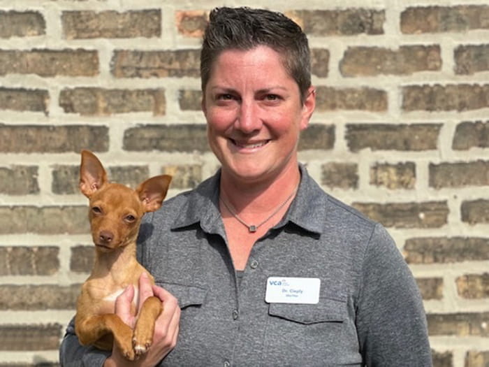 Dr. Lisa Cieply, DVM, University of Illinois, Medical Director