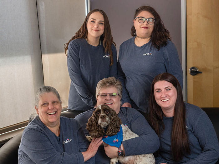 VCA Bolingbrook Animal Hospital Client Services Team Photo