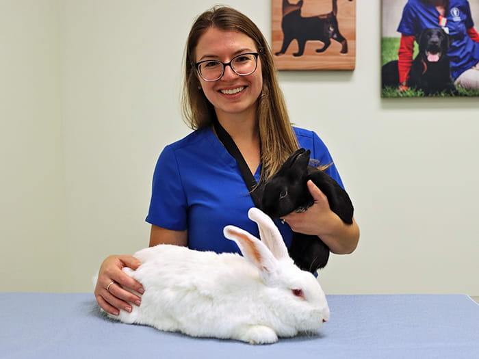 Dr. Natalia Distefano (Jurcak) Staff Photo