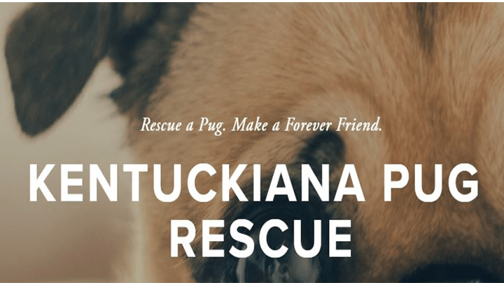 720x405 village park KPRPug