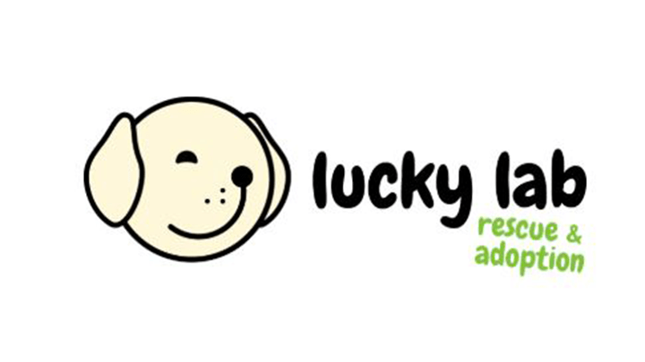 720x405 village park LuckyLab