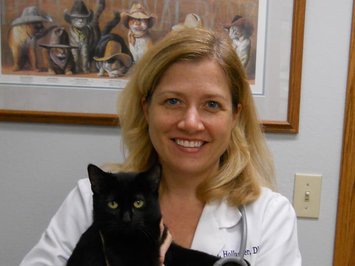 700x525 avondale Hollander