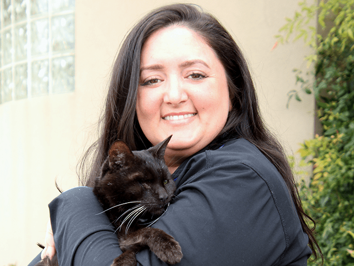 700x525 causeway Tara