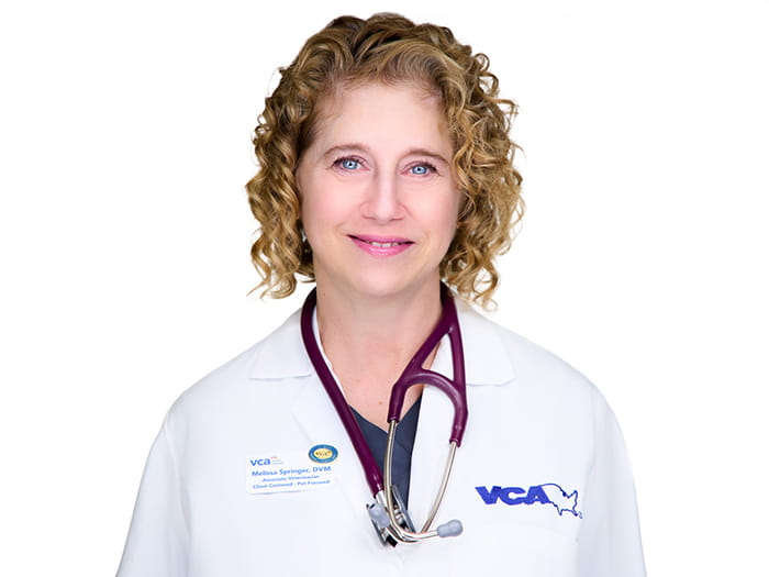 Dr. Melissa Springer