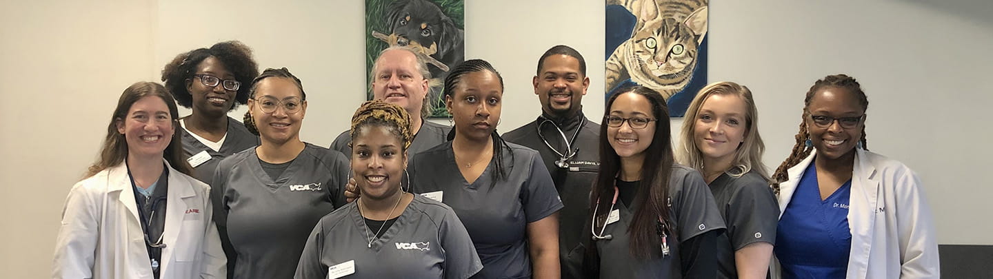 /-/media/2/vca/images/hospitals/united-states/maryland/coolridge/staff/1440x405_coolridge_team.jpg?rev=f235835561824eb59e9a3e7c70c8ff9f