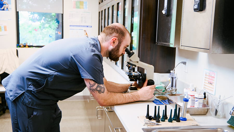 In-House Laboratory at VCA North Rockville Animal Hospital