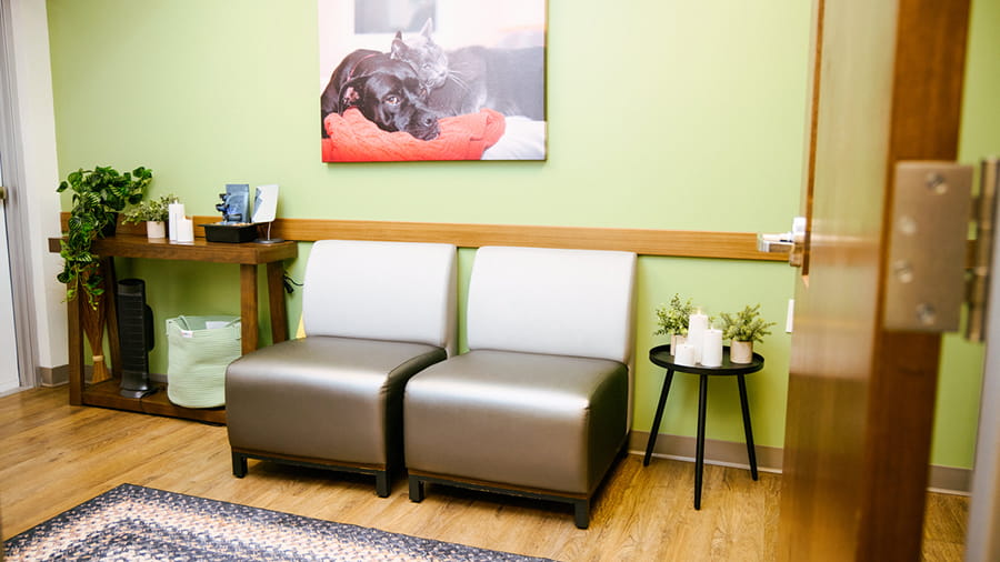 Comfort Room at VCA North Rockville Animal Hospital