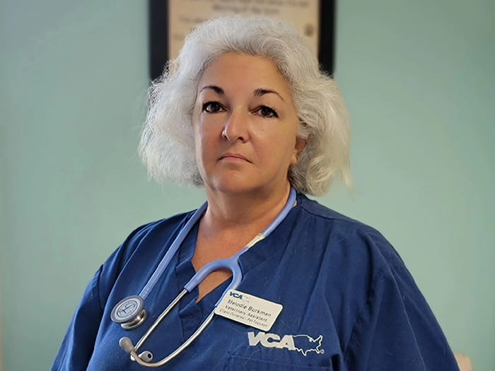 700x525 three notch MelodieB