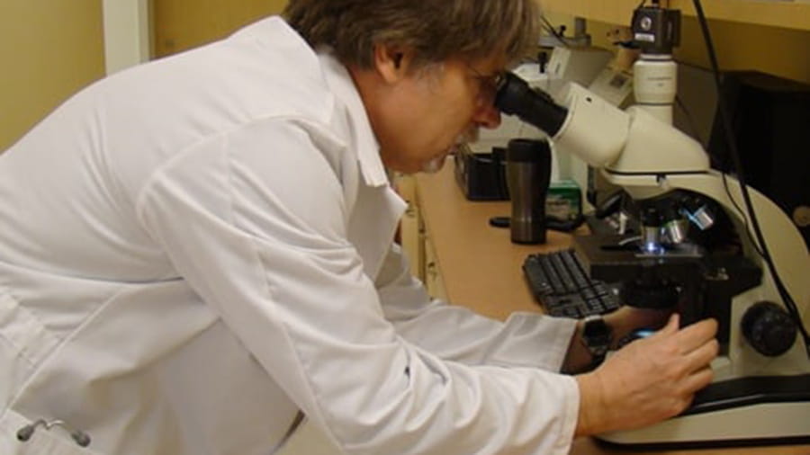 VCA Capeway veterinarian looking in a microscope