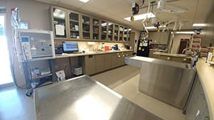 VCA Shaker Road Animal Hospital Treatment Room