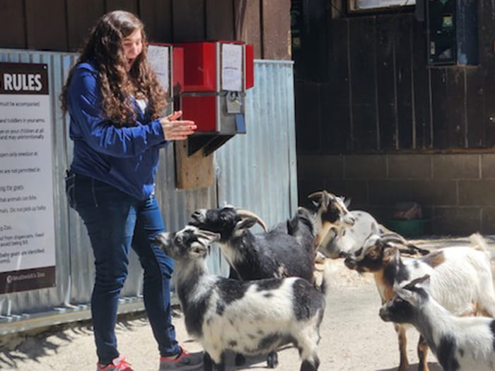 Ashley Miller Staff Photo