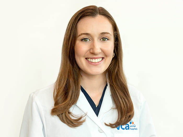 Dr. Meghan O'Toole Staff Photo