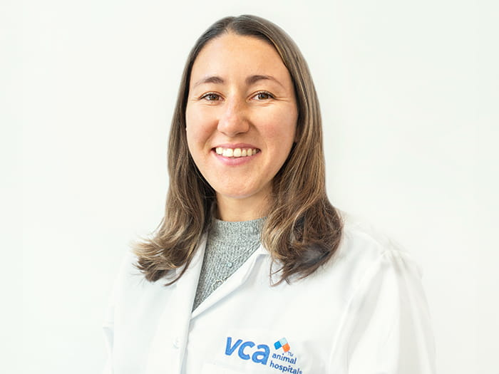 Dr. Torri Cicchirillo Staff Photo