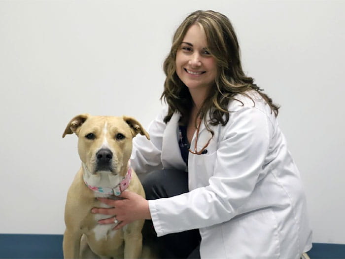 Dr. Katie Strong Staff Photo