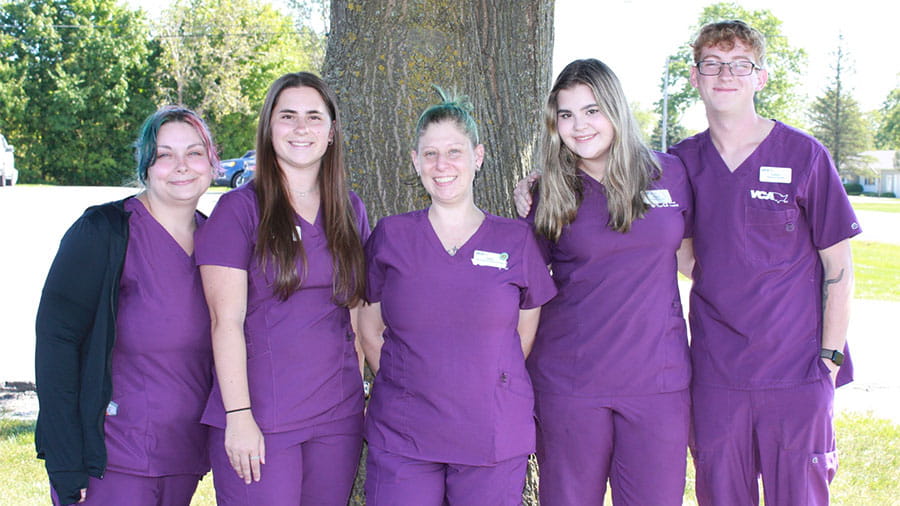 VCA Swartz Creek Animal Hospital Veterinary Assistant Team