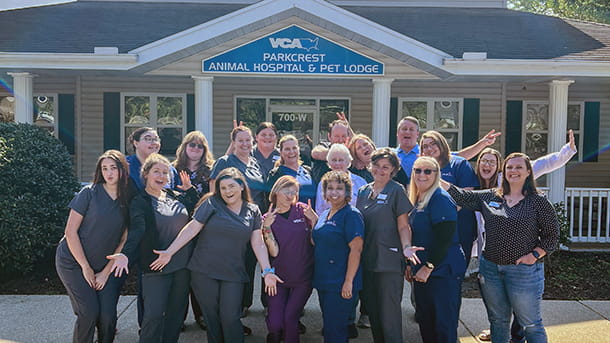VCA Parkcrest Animal Hospital and Pet Lodge Team
