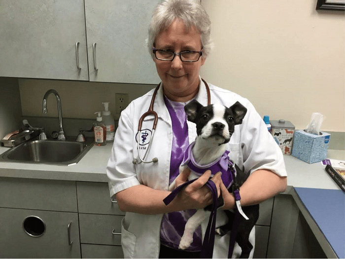 700x525 parkcrest PatriciaZiegler