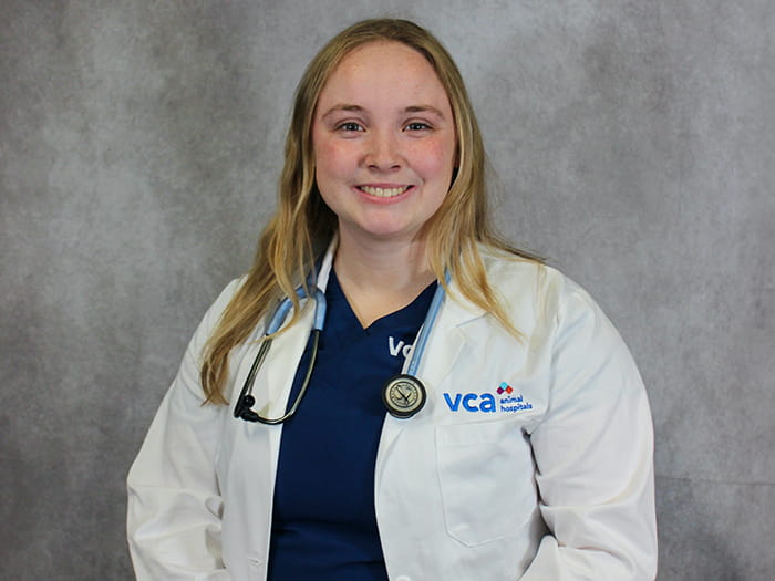 Dr. Jessica Hein Staff Photo