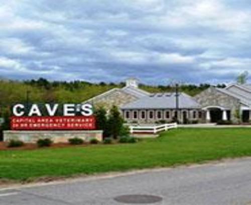 /-/media/2/vca/images/hospitals/united-states/new-hampshire/capital-area-emergency/galleries/185x185_map_capitalarea.jpg?rev=267e515740684683906ebcb8816ec3f2