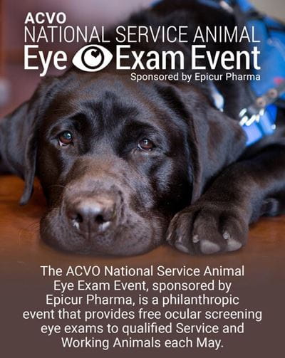 ACVO Eye Exam Event