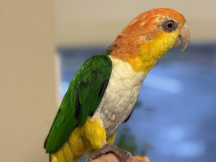 Client Services Department Anchor Card Photo