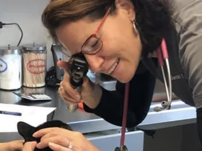 Dr. Sarah Ball Garino Staff Photo