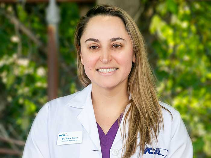 Dr. Stacy Green Staff Photo