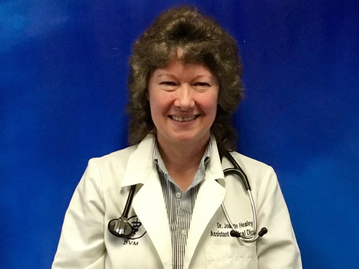 Joanne Healey Staff Photo