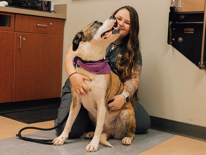 Torie Rastelli Staff Photo