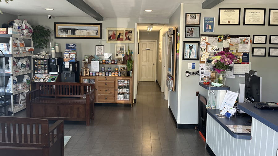 Photo of Animal General of East Norwich Lobby