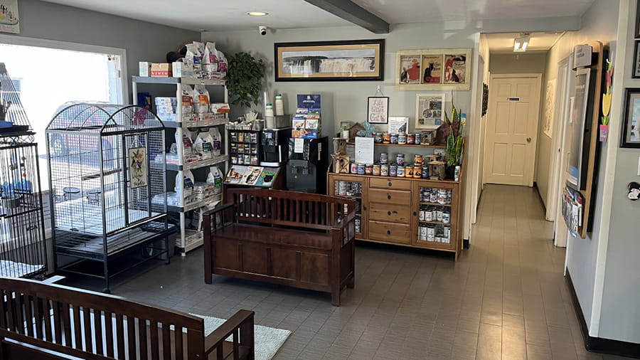 Photo of Animal General of East Norwich Lobby