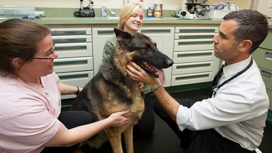 876x493 colonial oncology