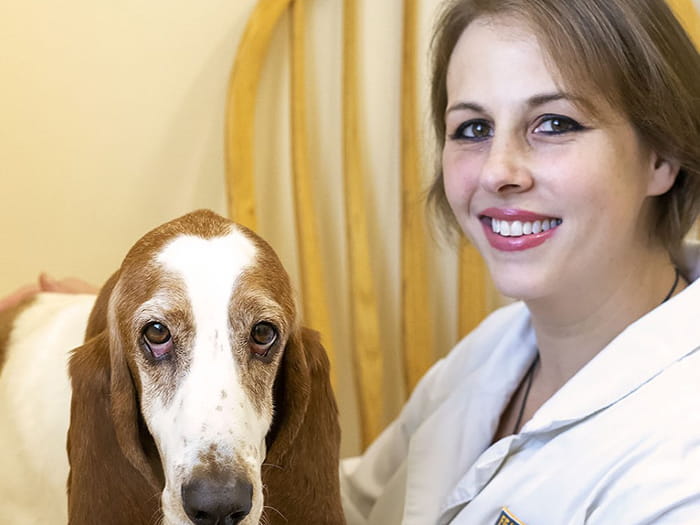 Dr. Jill Whalen Staff Photo