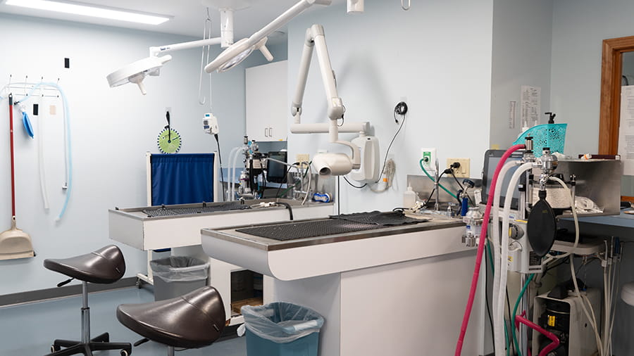 VCA New Hartford Animal Hospital dental suite