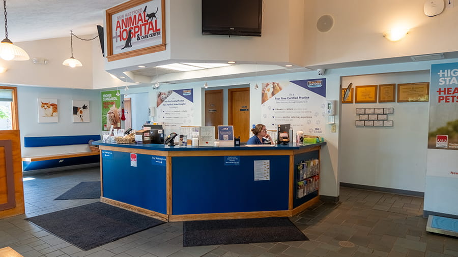 VCA New Hartford Animal Hospital lobby