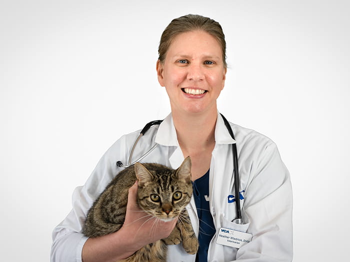 Dr. Heather Wiedrick