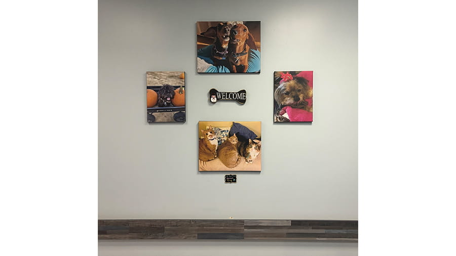 VCA Southgate Animal Hospital Lobby