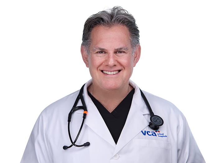 Dr. Mark Levy Staff Photo